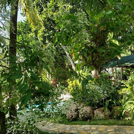 פלורס Zapote Tree Inn מראה חיצוני תמונה