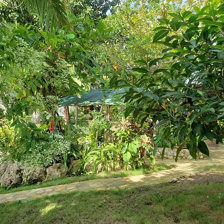 פלורס Zapote Tree Inn מראה חיצוני תמונה