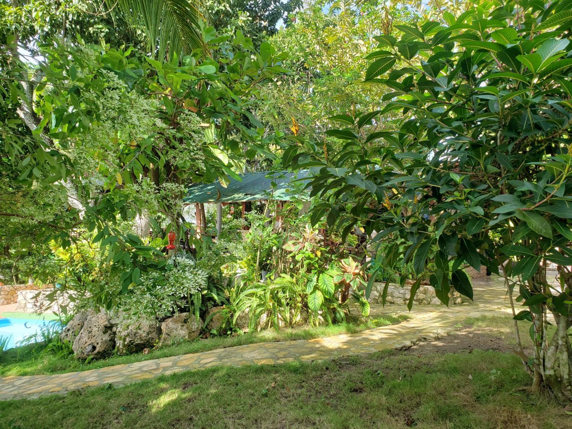 פלורס Zapote Tree Inn מראה חיצוני תמונה
