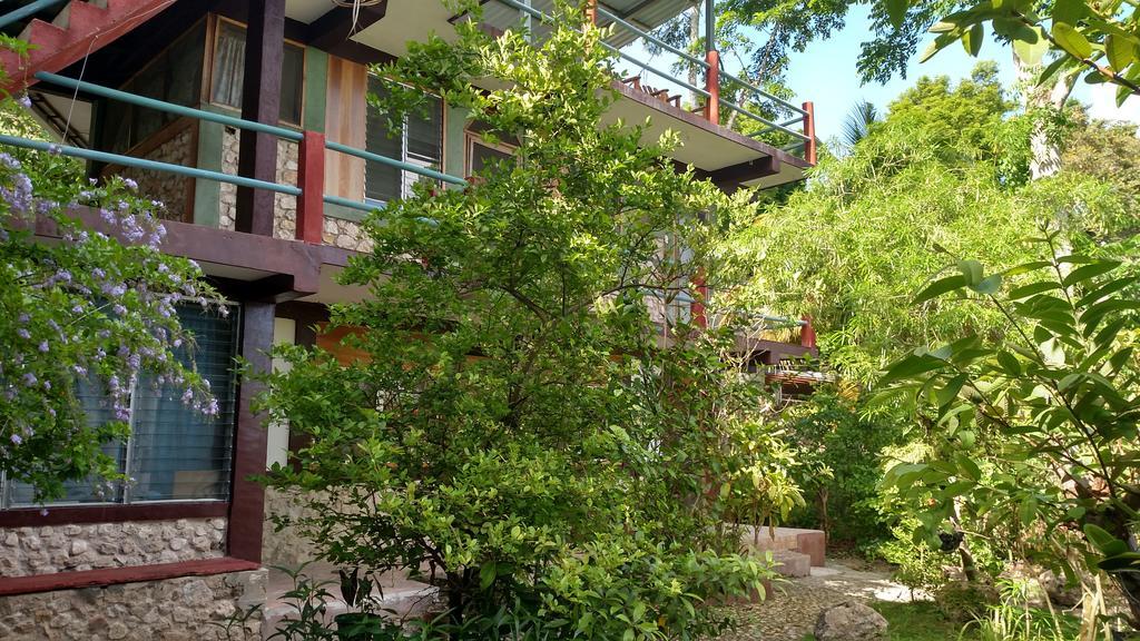 פלורס Zapote Tree Inn מראה חיצוני תמונה